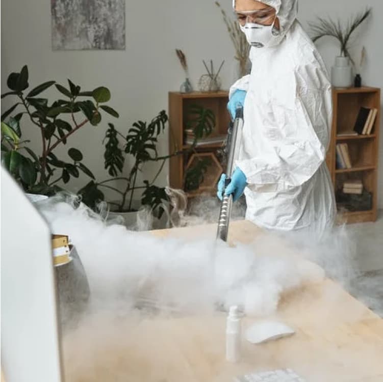 1. Fumigación